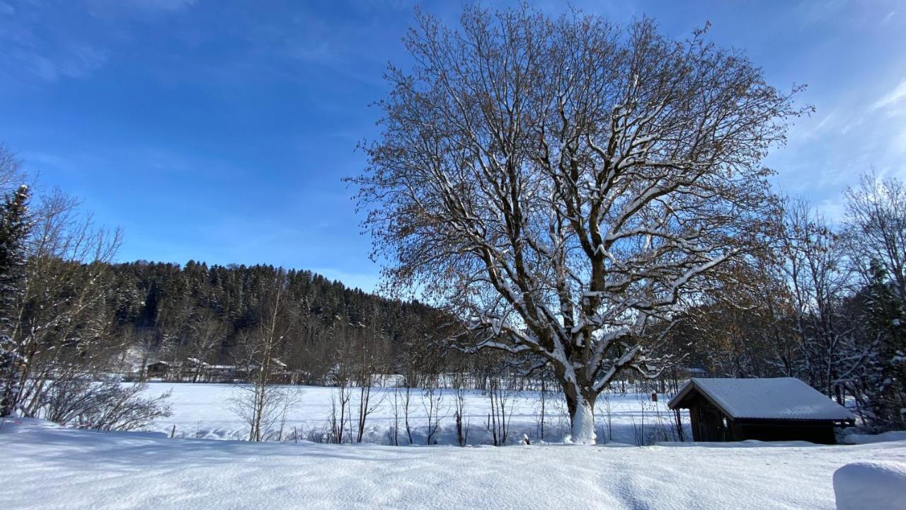 Pure Nature Munich - Alps Fischbachau Buitenkant foto